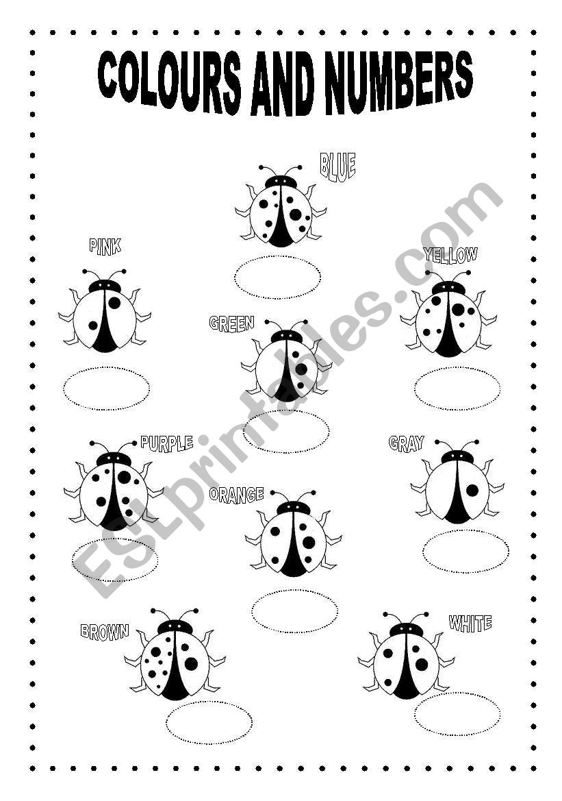 COLOURS AND NUMBERS worksheet