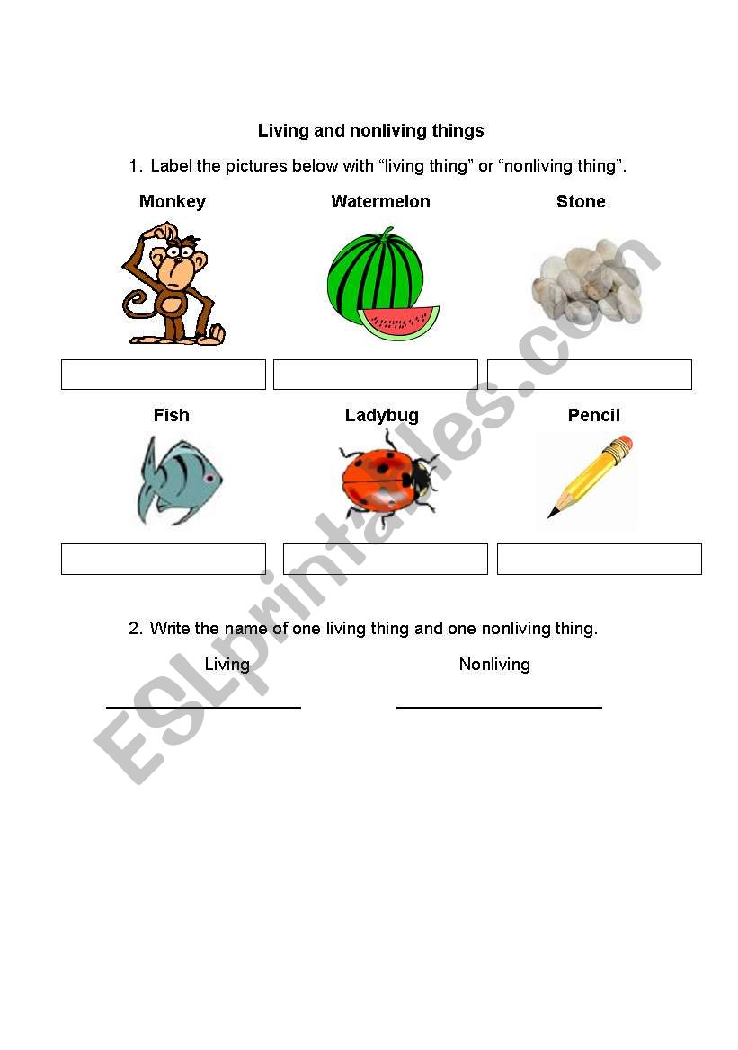 Living and Nonliving Things worksheet