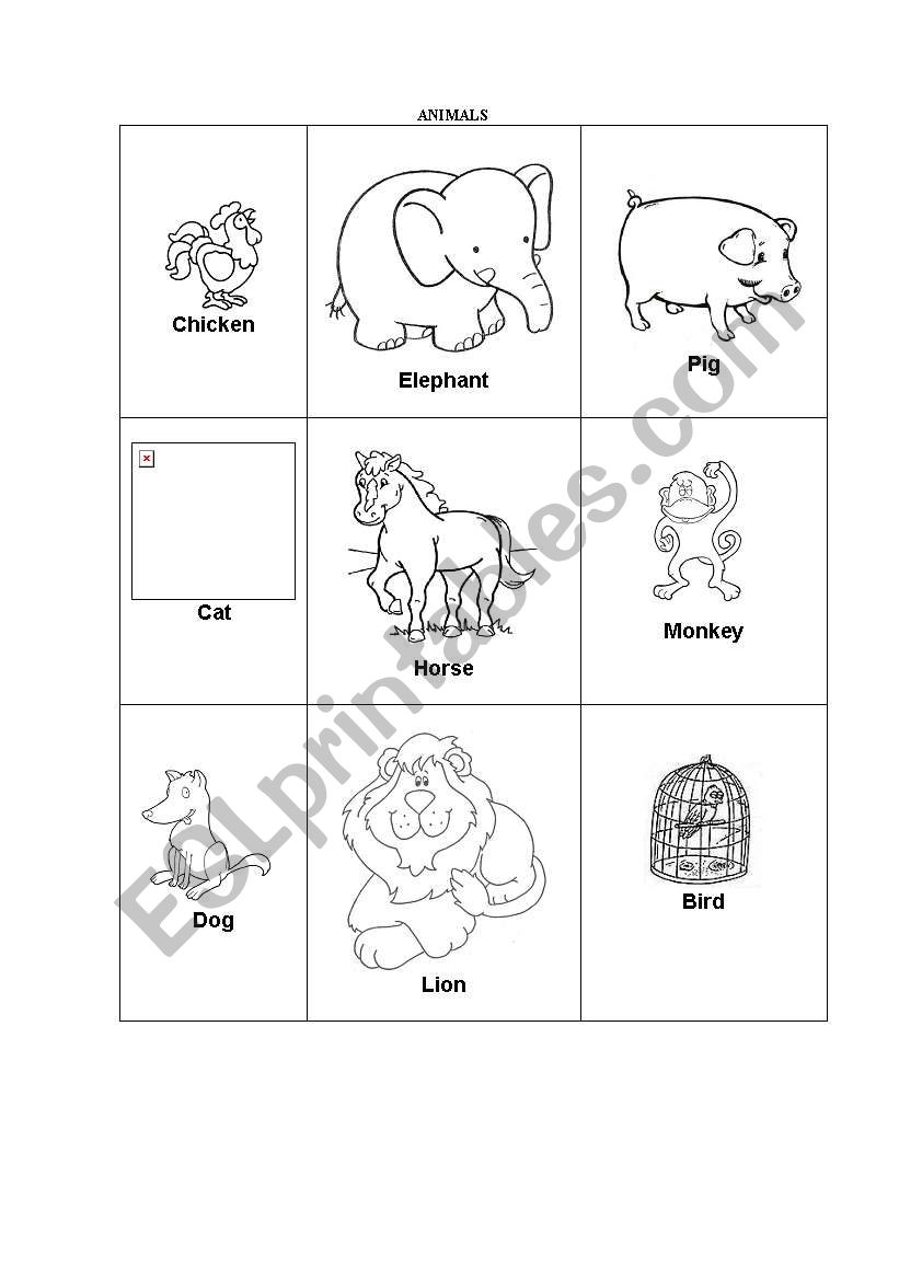 THE ANIMALS worksheet