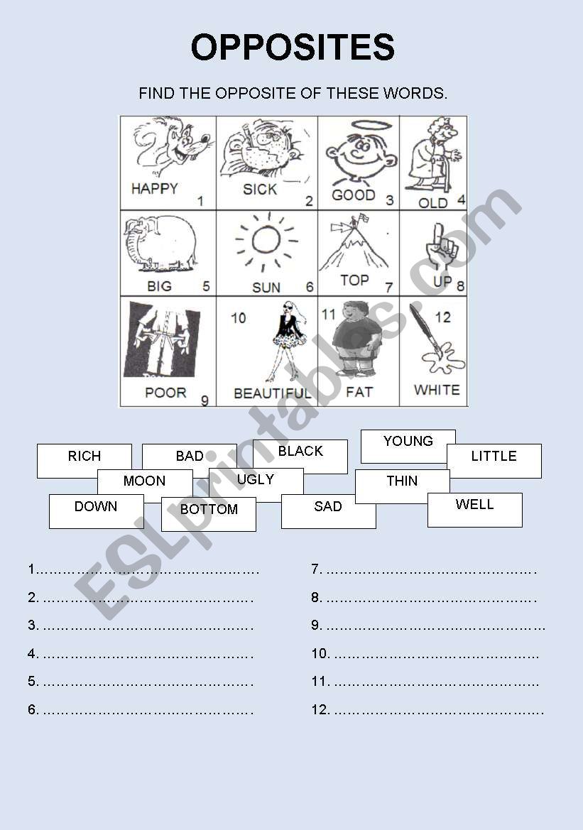 OPPOSITES worksheet