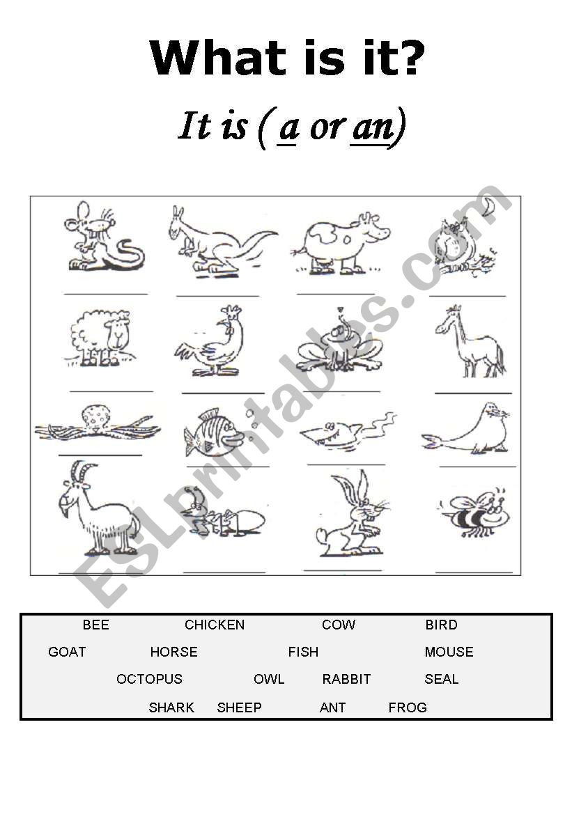 What is it? worksheet