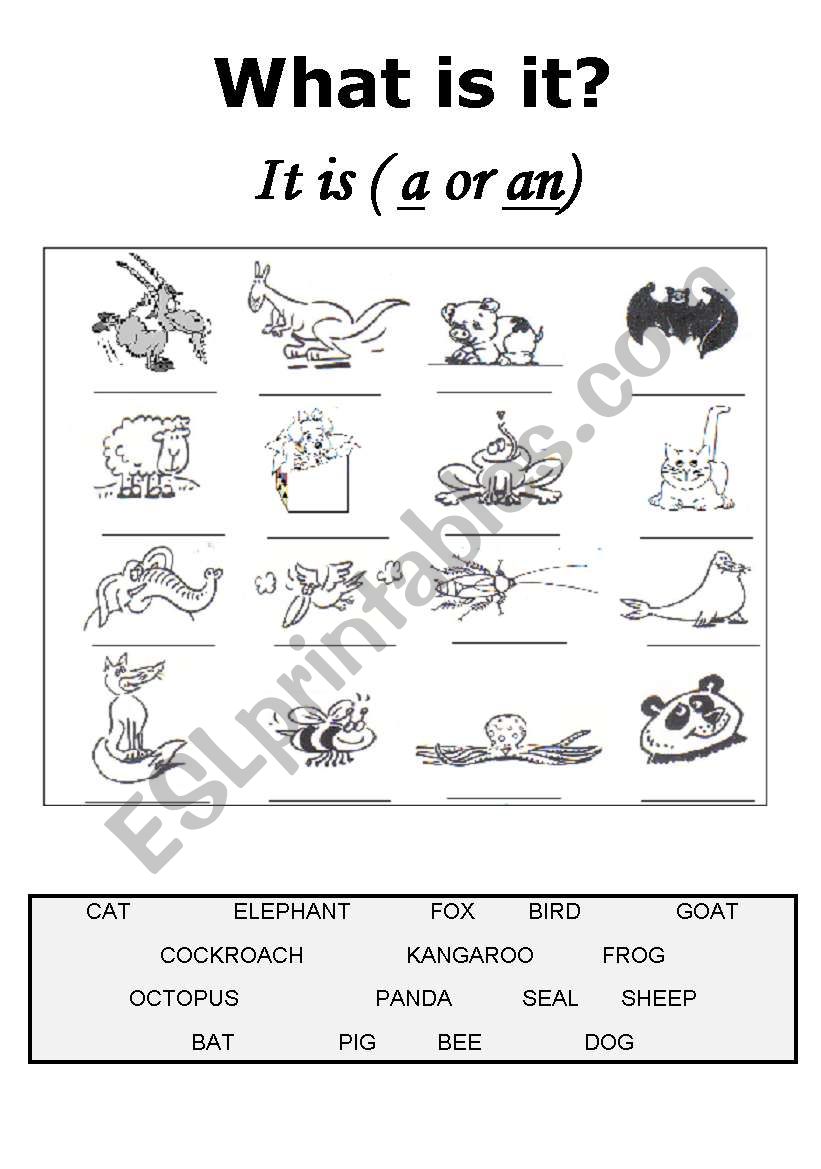 What is it? worksheet