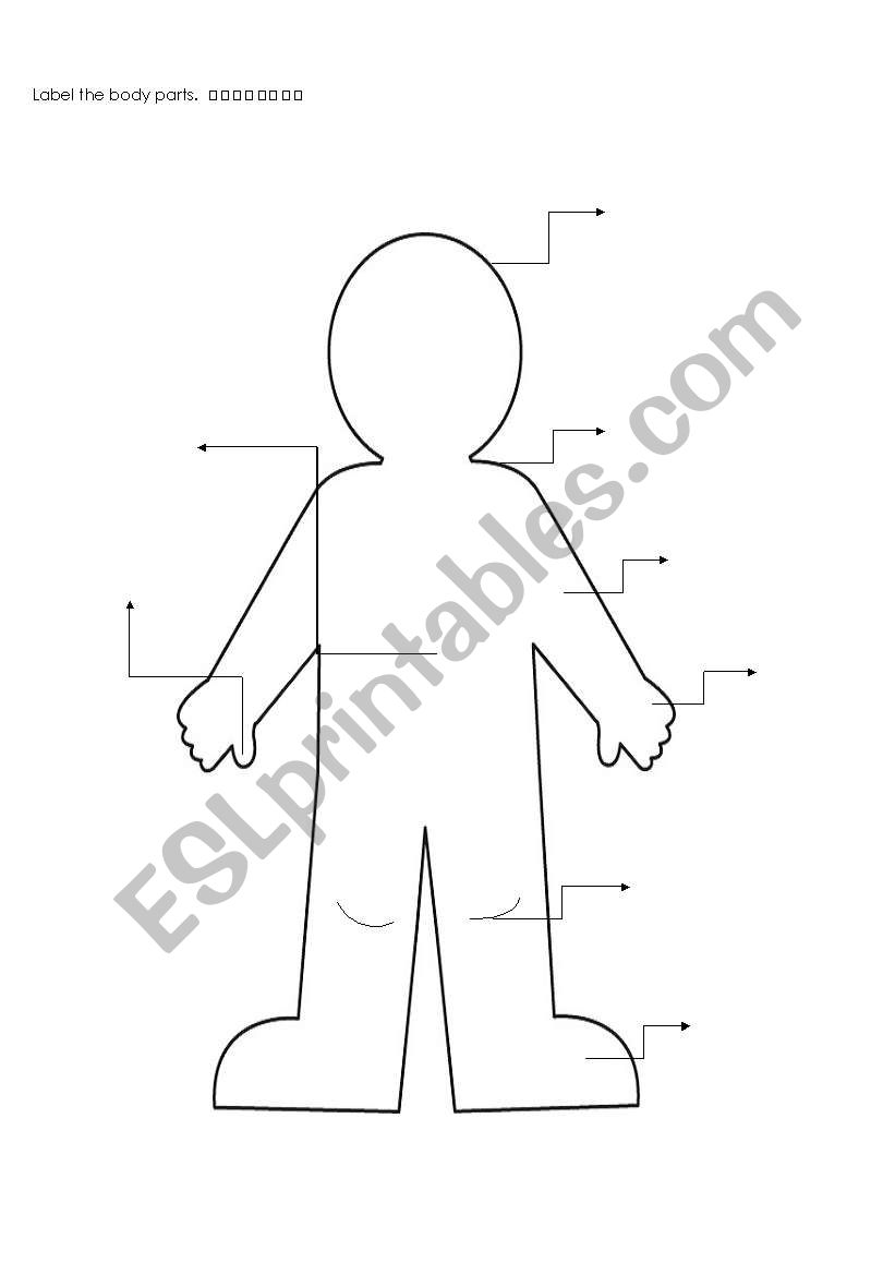 Label body part worksheet