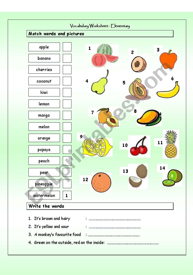 Vocabulary Matching Worksheet - Fruit