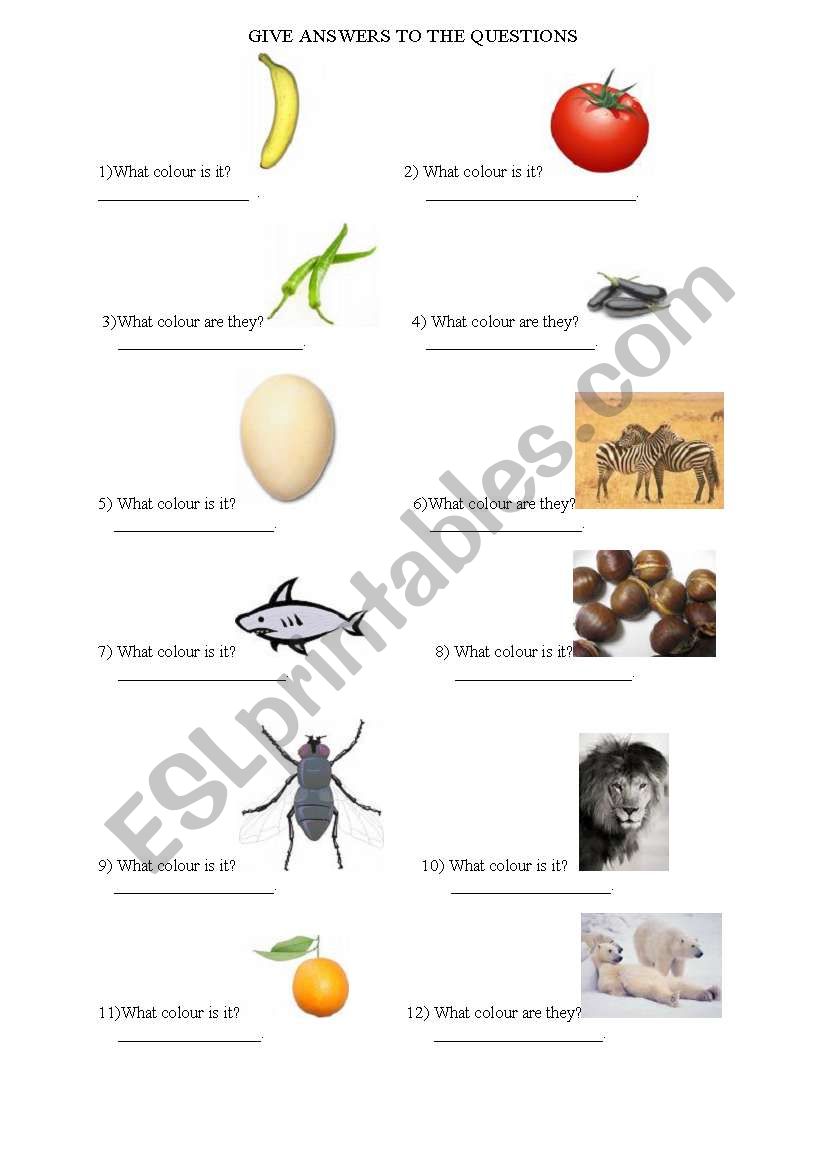 colours worksheet
