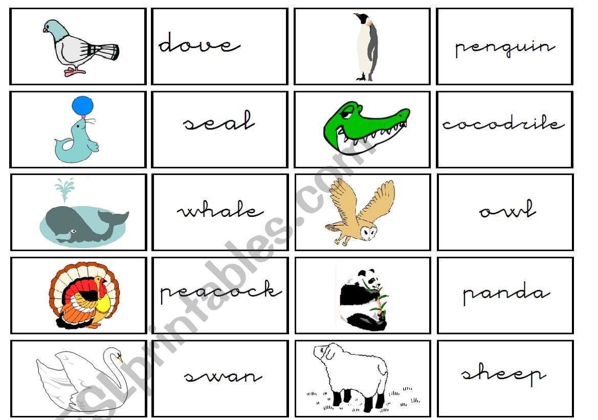 cartas de animales worksheet