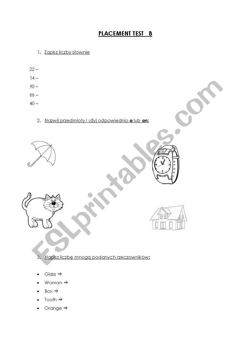 Placement Test ( group B) worksheet