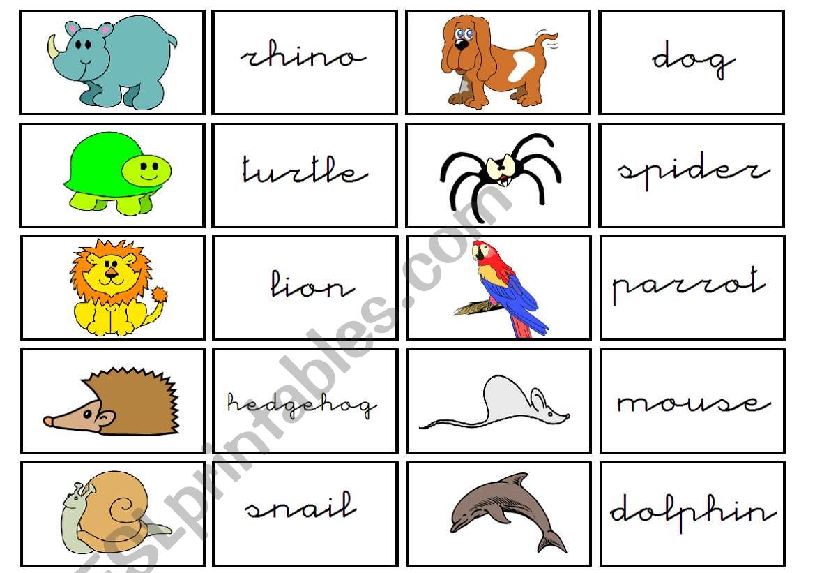 cards animals worksheet