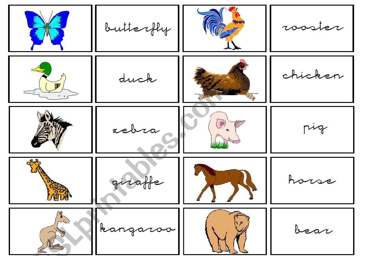 cards animals worksheet