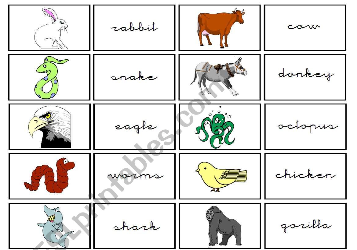 cards animals worksheet