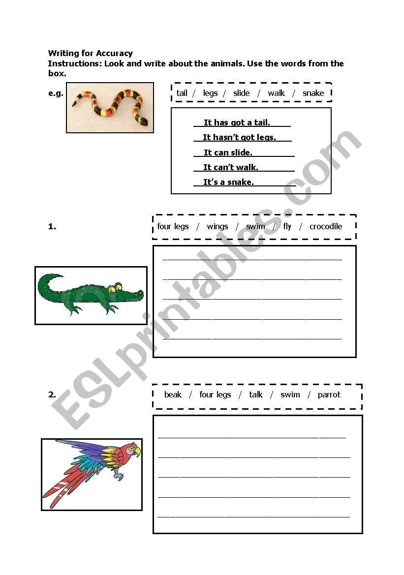 Writing for Accuracy worksheet