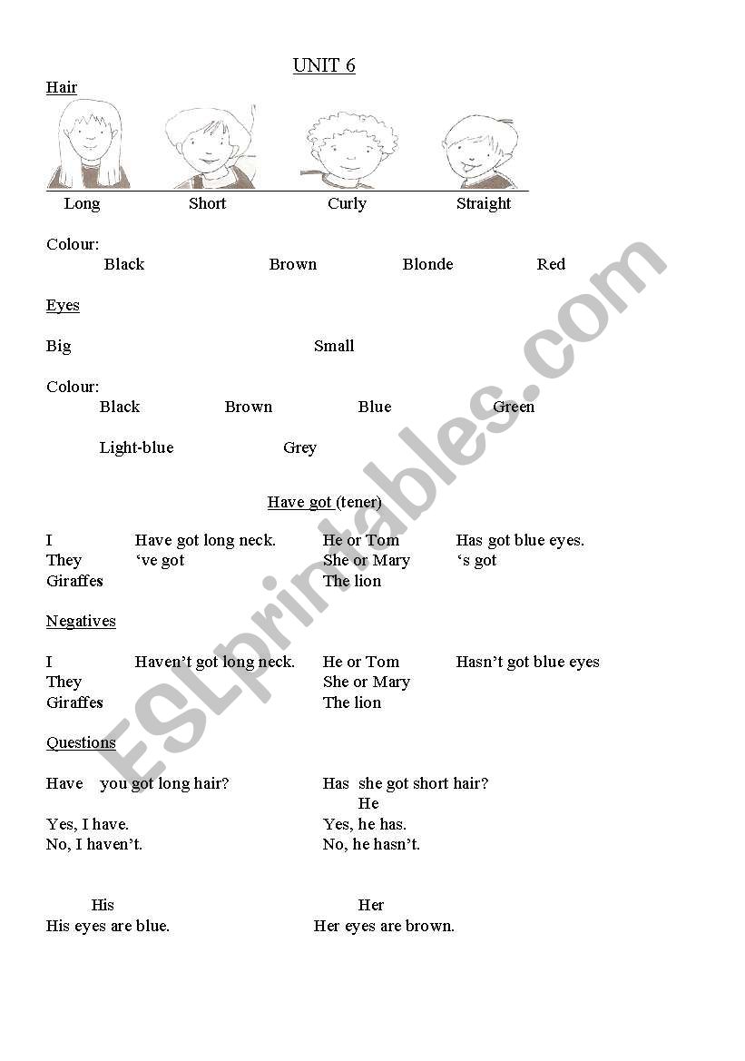 descriptions worksheet