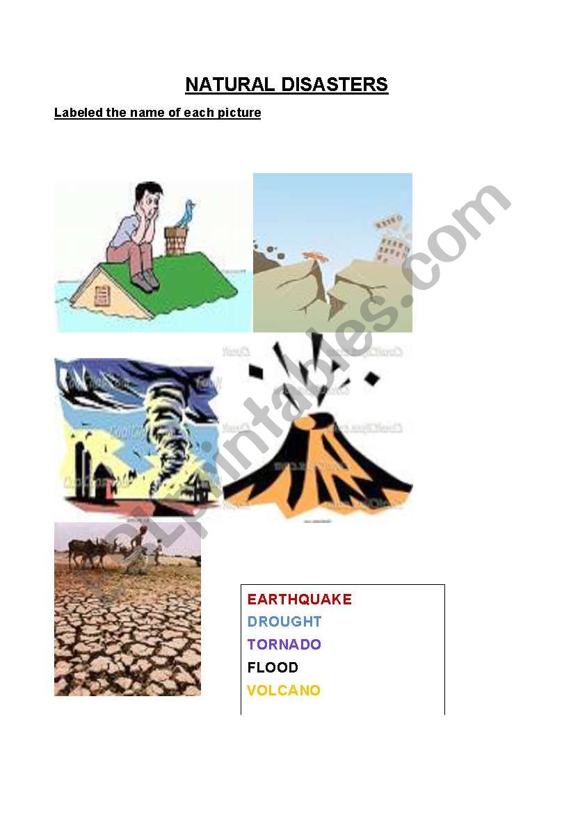 NATURAL DISASTER worksheet