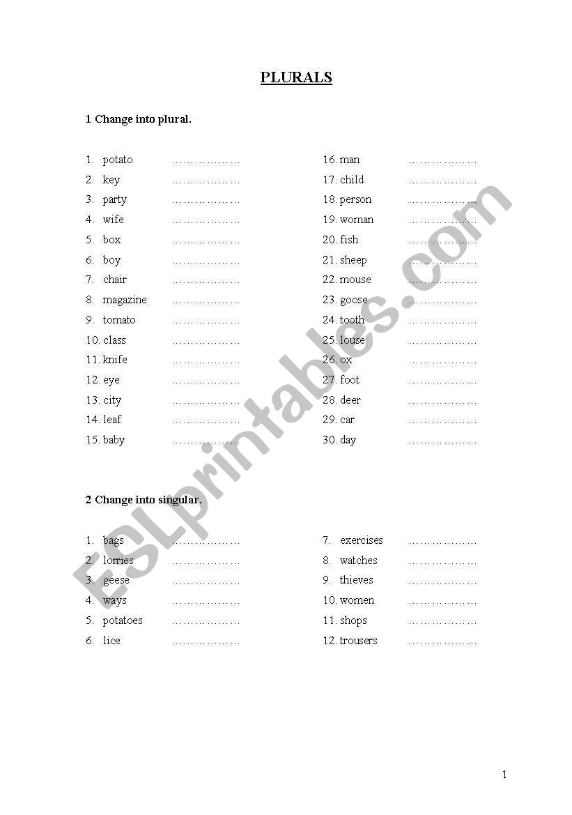 plurals  worksheet