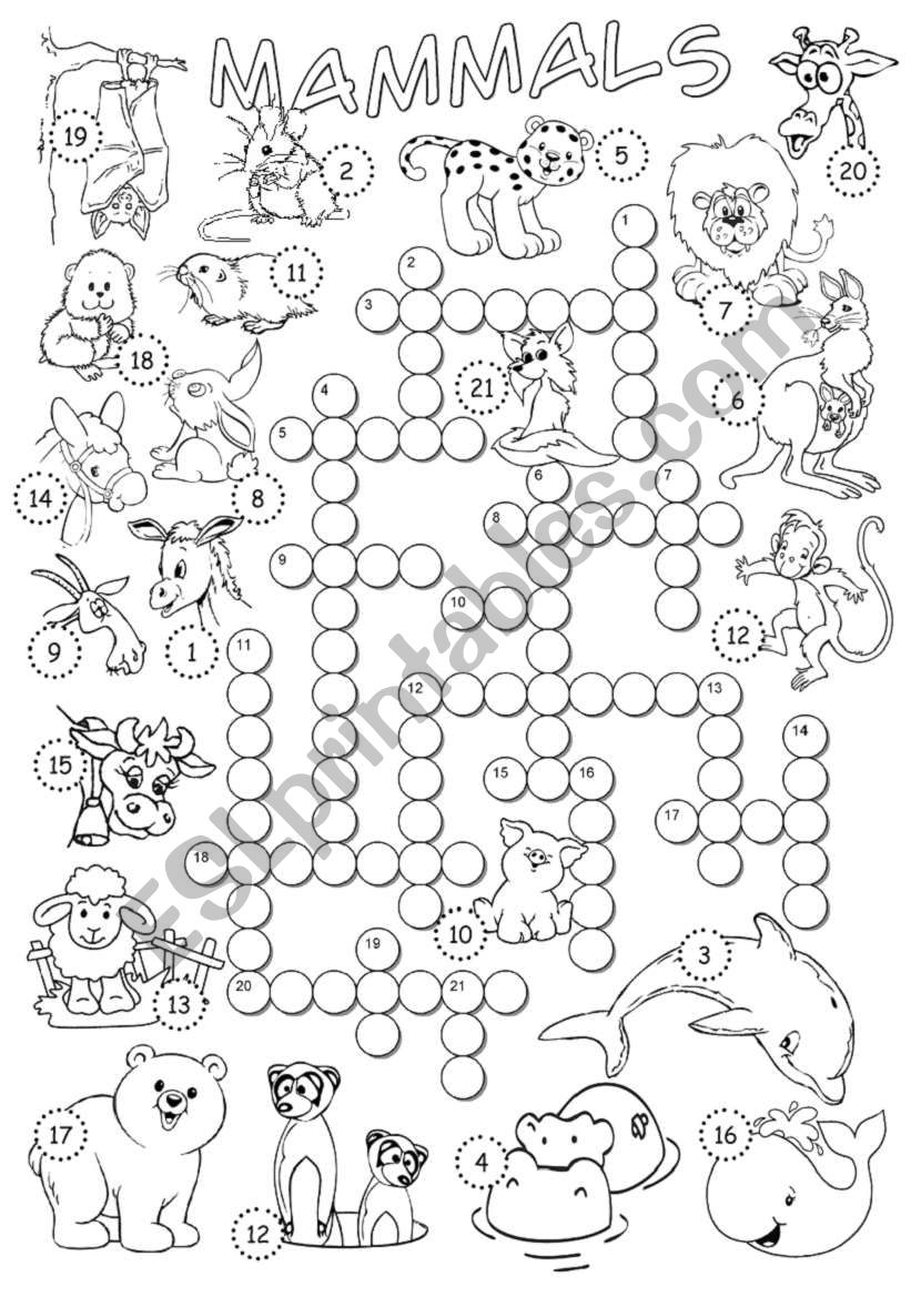 Mammals Crossword worksheet