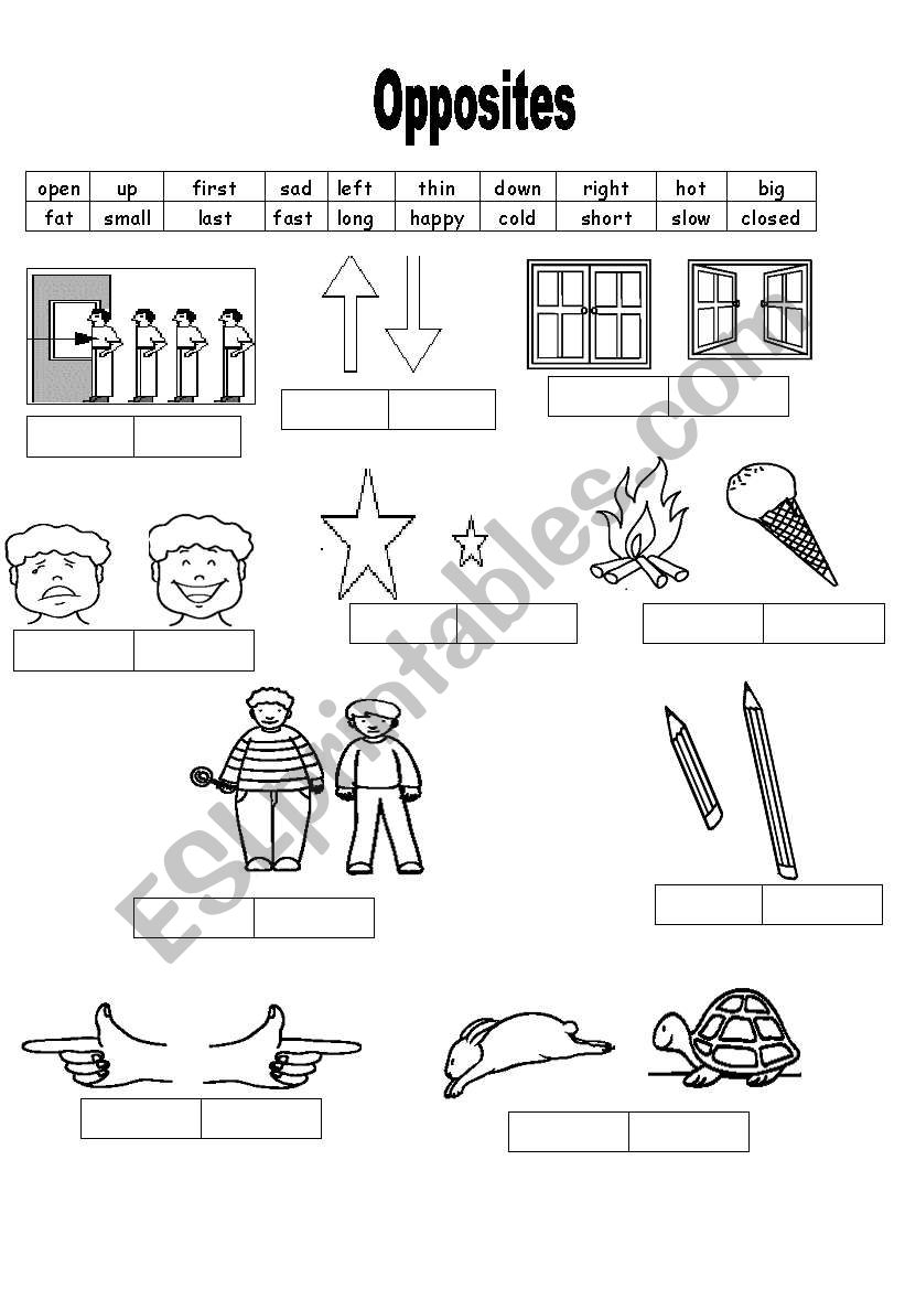 opposite worksheet