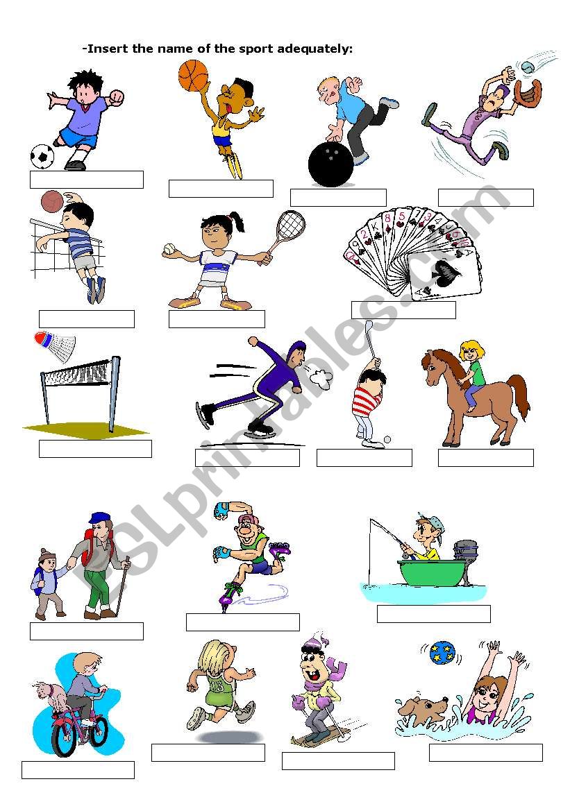 sports worksheet