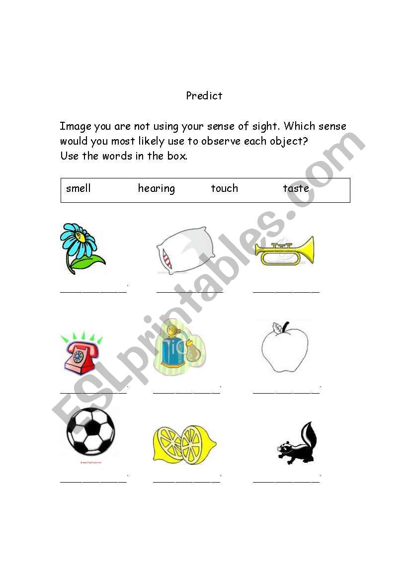 Predict 5 senses worksheet