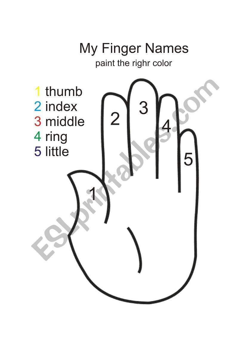 Finger Names worksheet