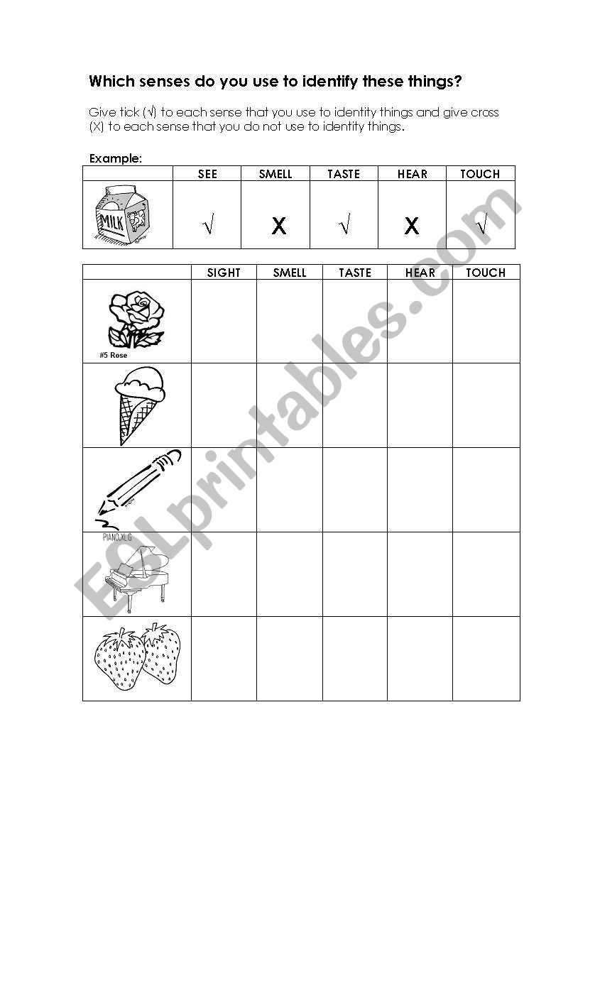 Five Senses worksheet