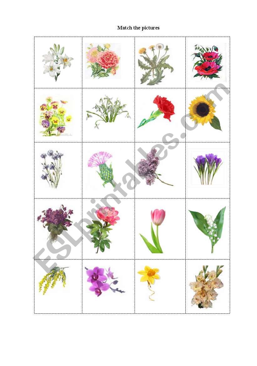 Flowers - Matching game - ESL worksheet by lyljane13