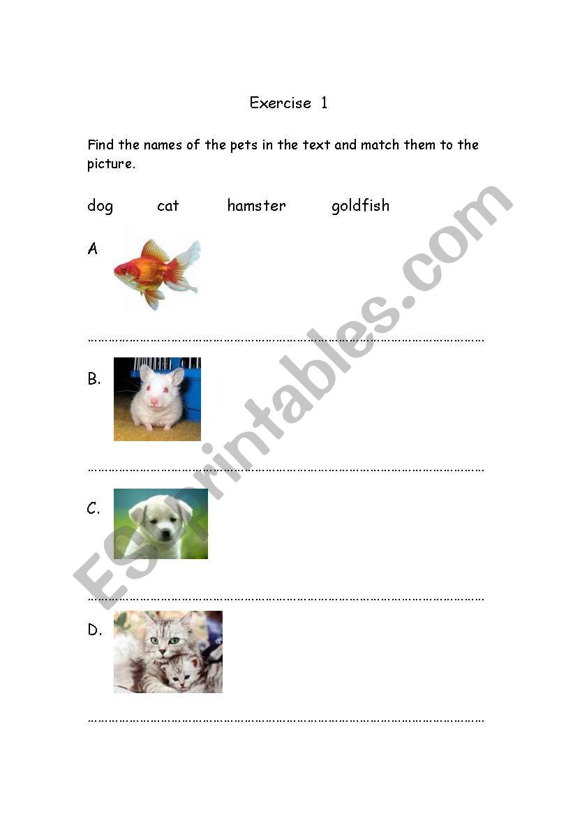 animal worksheet