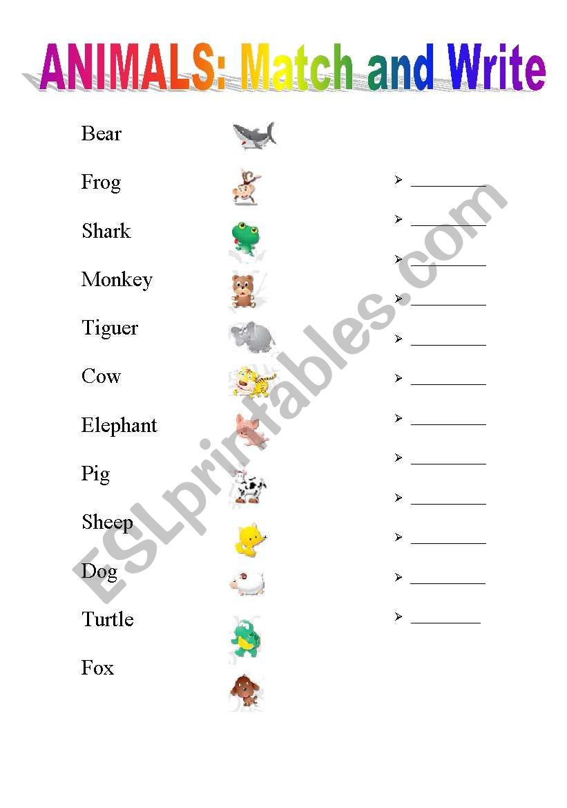 A lot of Animals worksheet