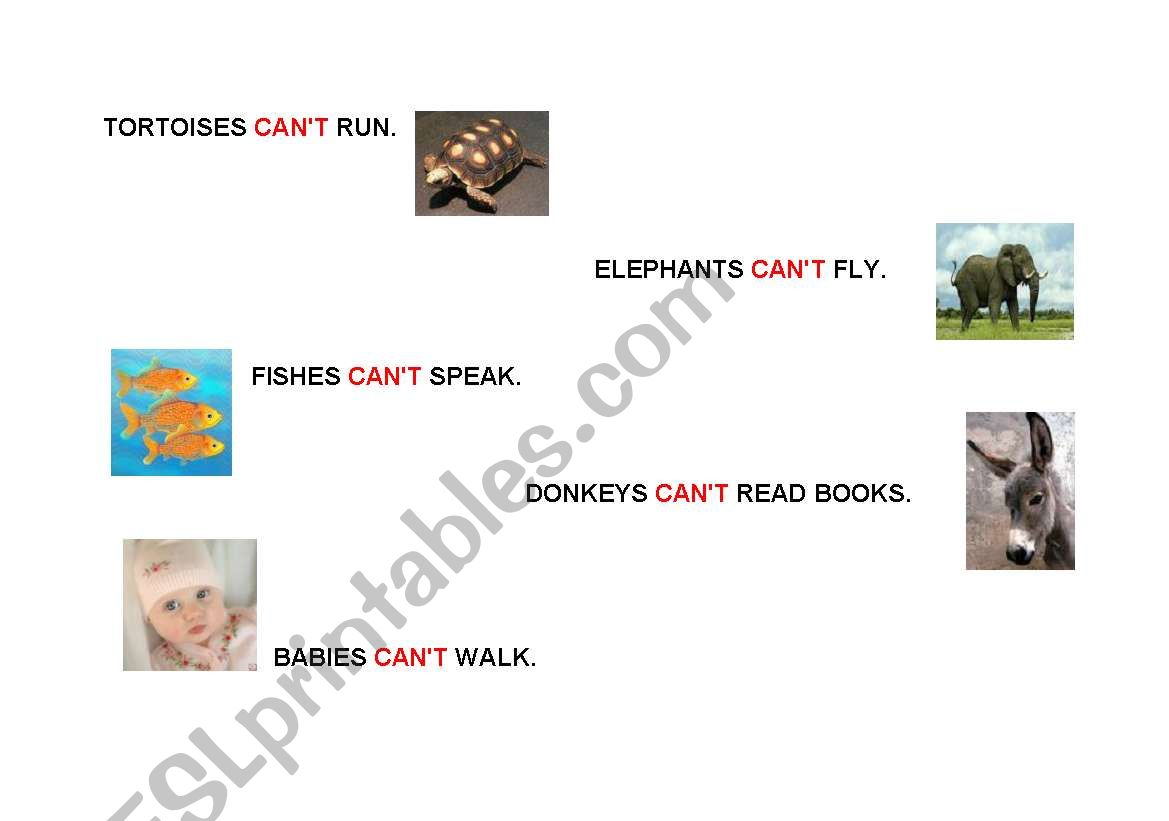 CANT worksheet