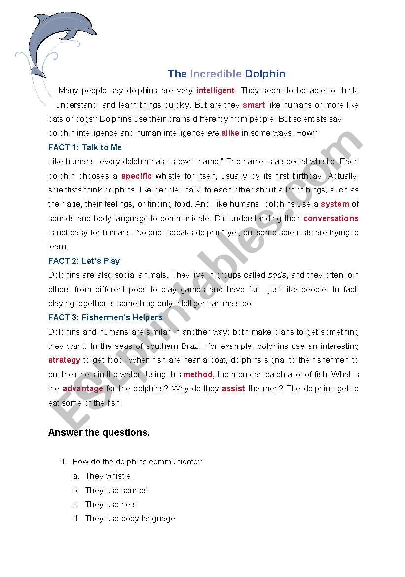 The Incredible Dolphin worksheet