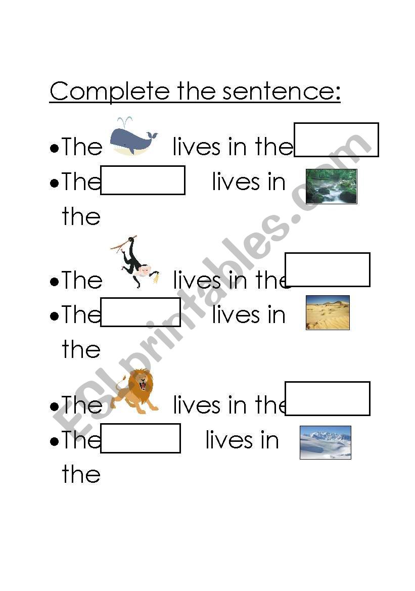 animals and homes  worksheet
