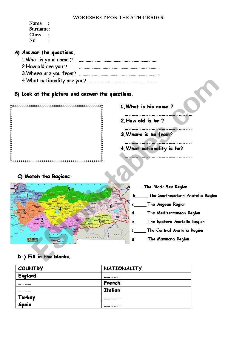 worksheet for the 5 th grades worksheet