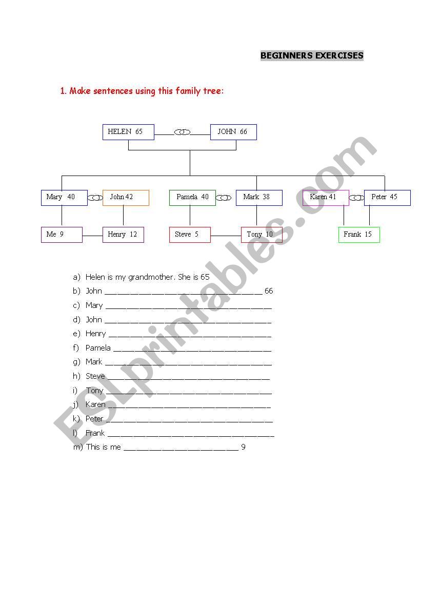 beginners exercises worksheet