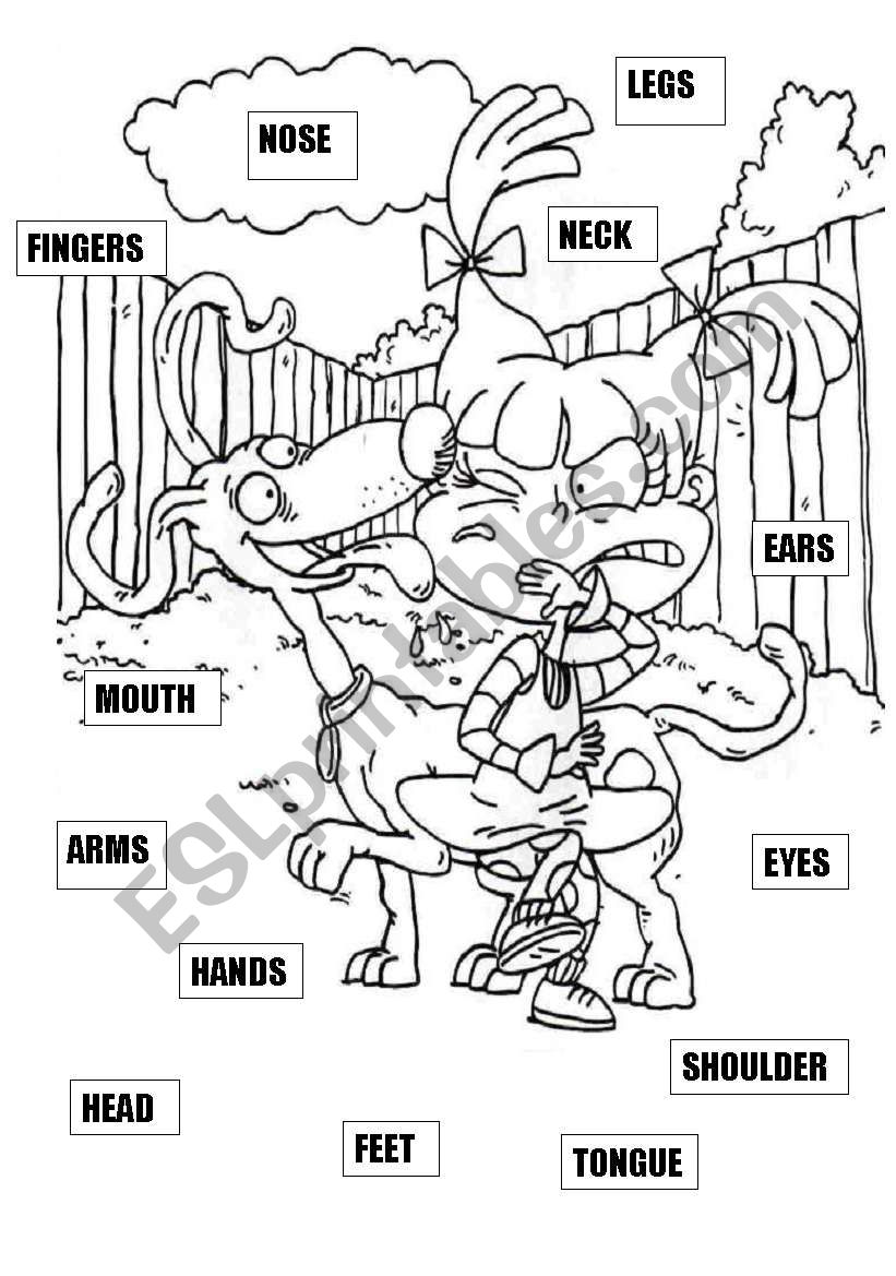 PARTS OF THE BODY worksheet