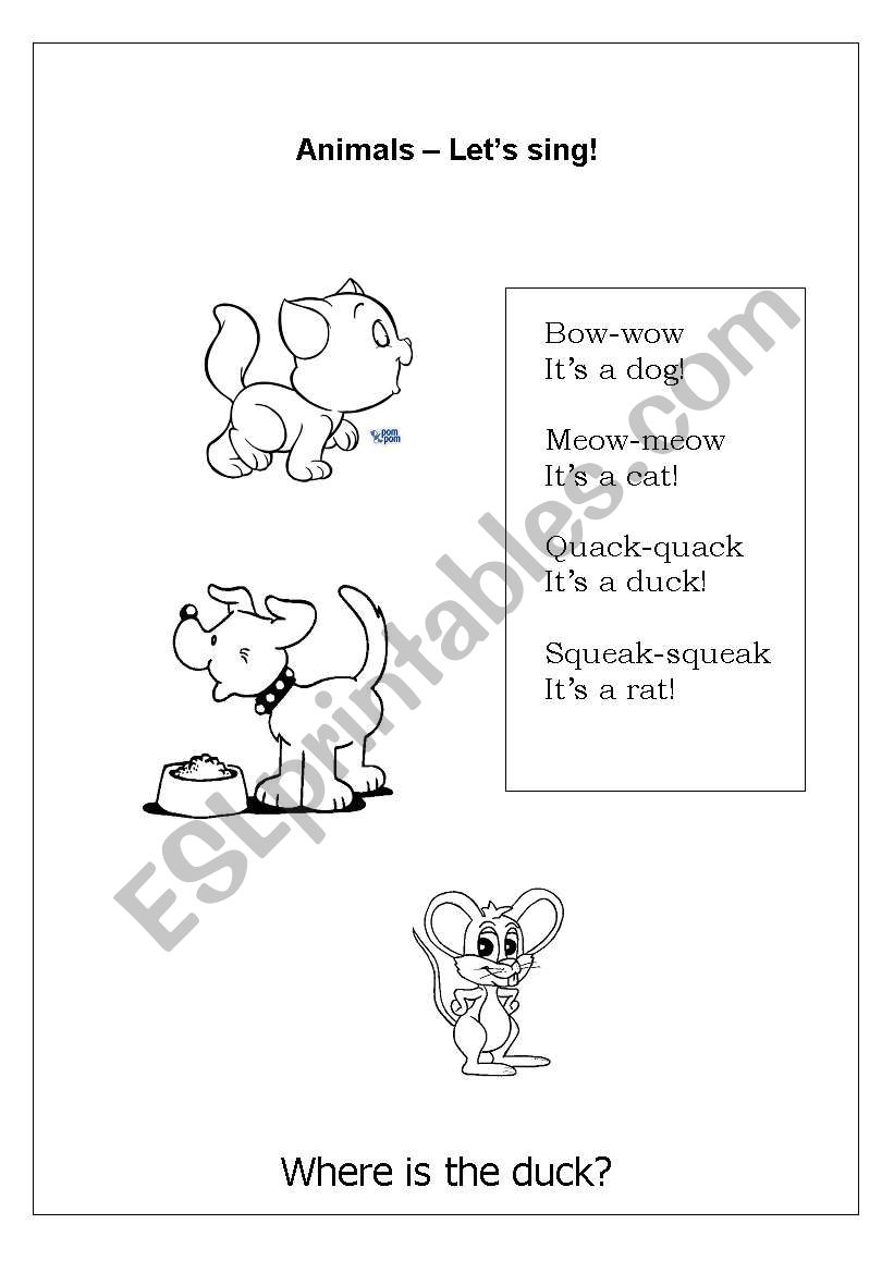 Animal song worksheet