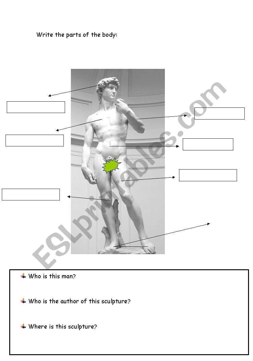 Davids body worksheet