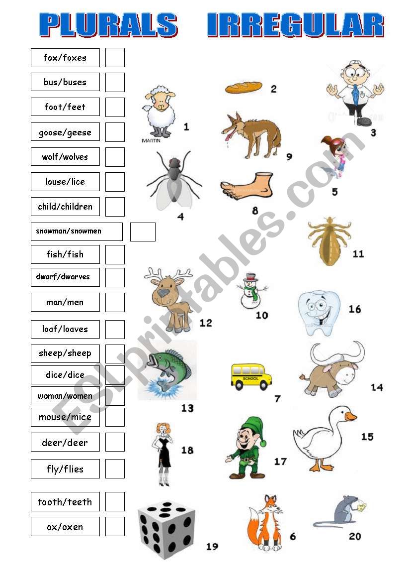 PLURALS IRREGULAR worksheet