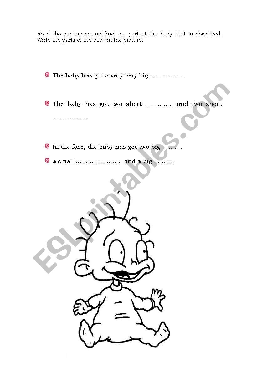 The babys body worksheet