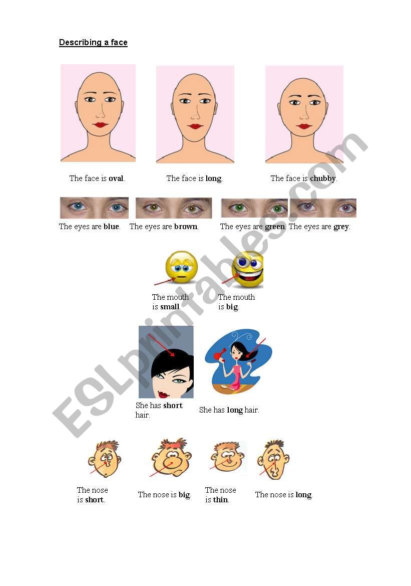 Describing faces worksheet