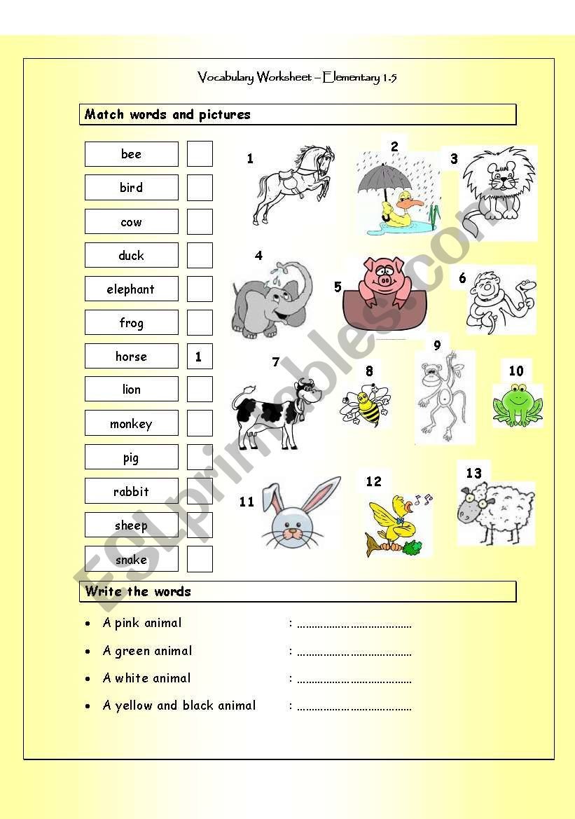 Vocabulary Matching Worksheet - ANIMALS (Elementary 1.5)