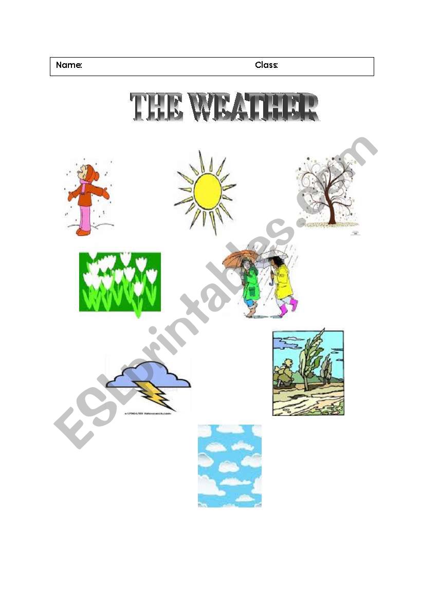 weather worksheet