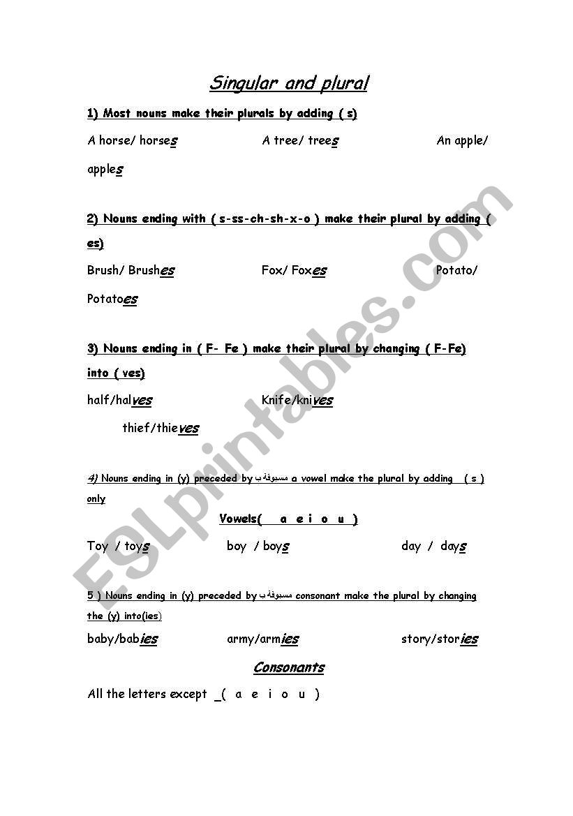 Singular and plural worksheet