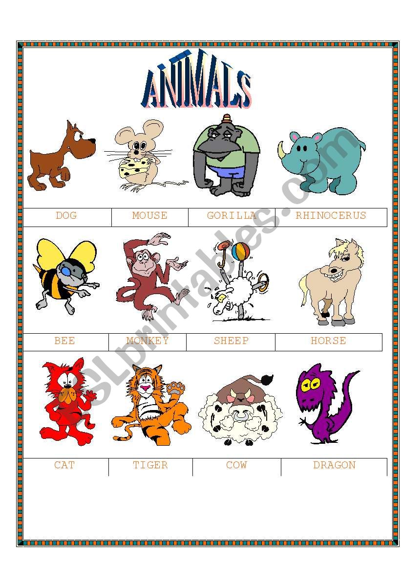 funny animals worksheet