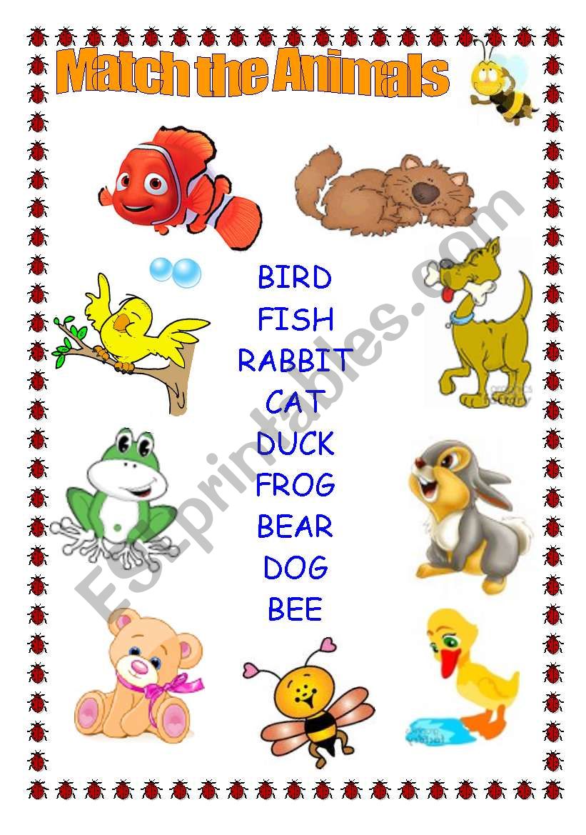 ANIMALS  worksheet