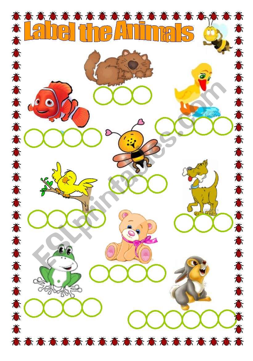 ANIMALS  worksheet