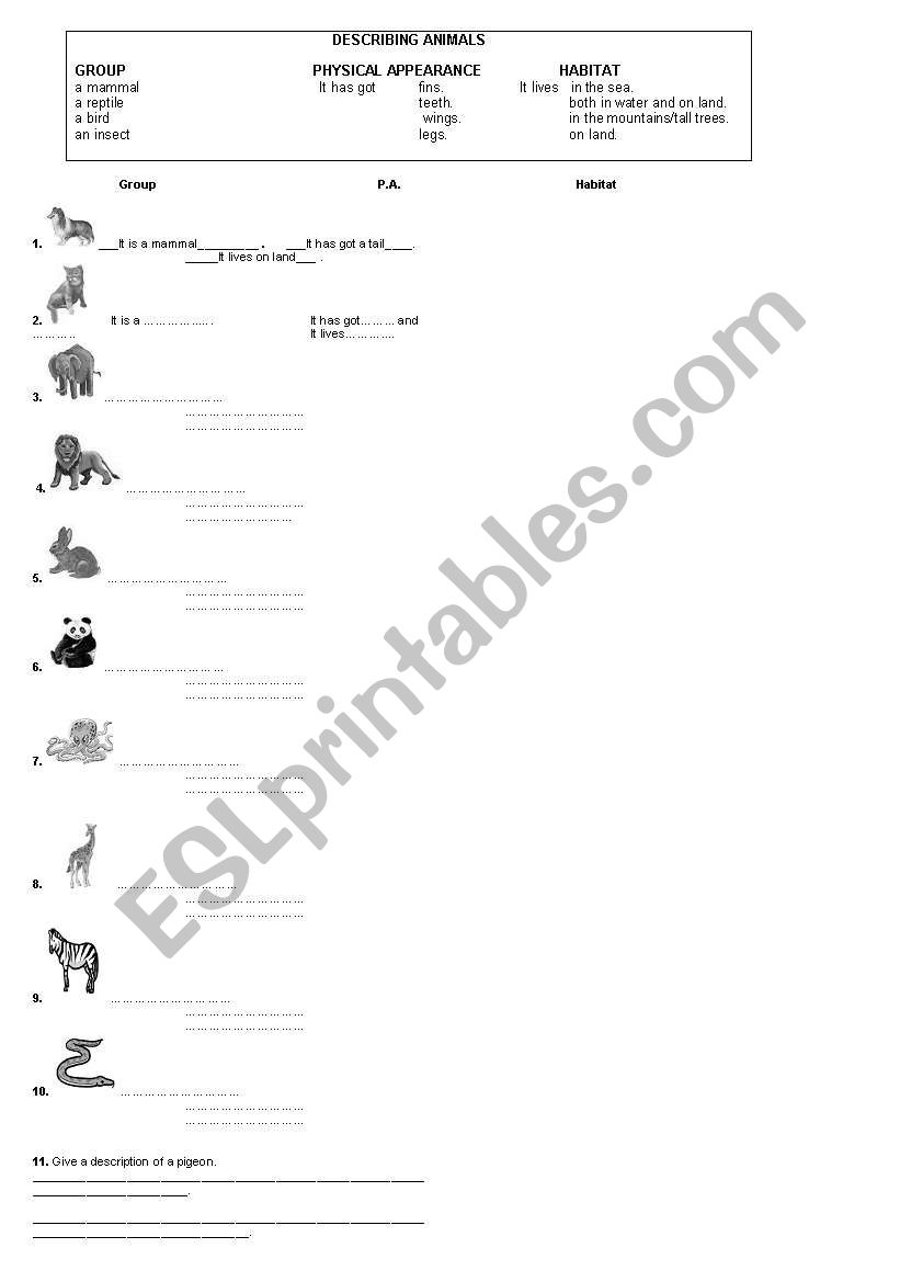 describing animals worksheet