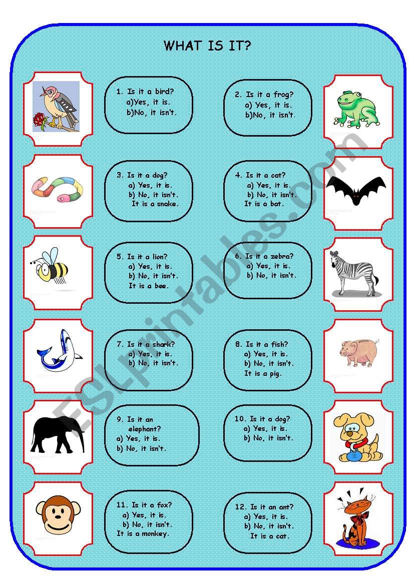 animals worksheet