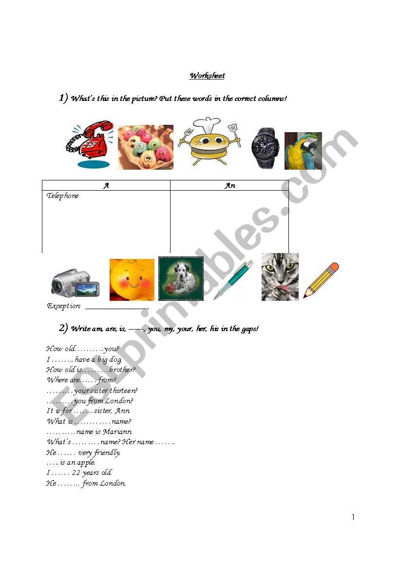 grammar worksheet worksheet