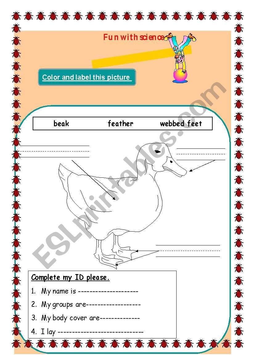 Animals Hbitats worksheet