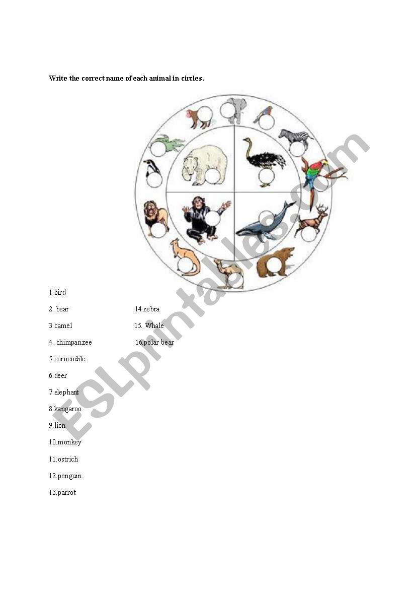 animals vocabulary worksheet