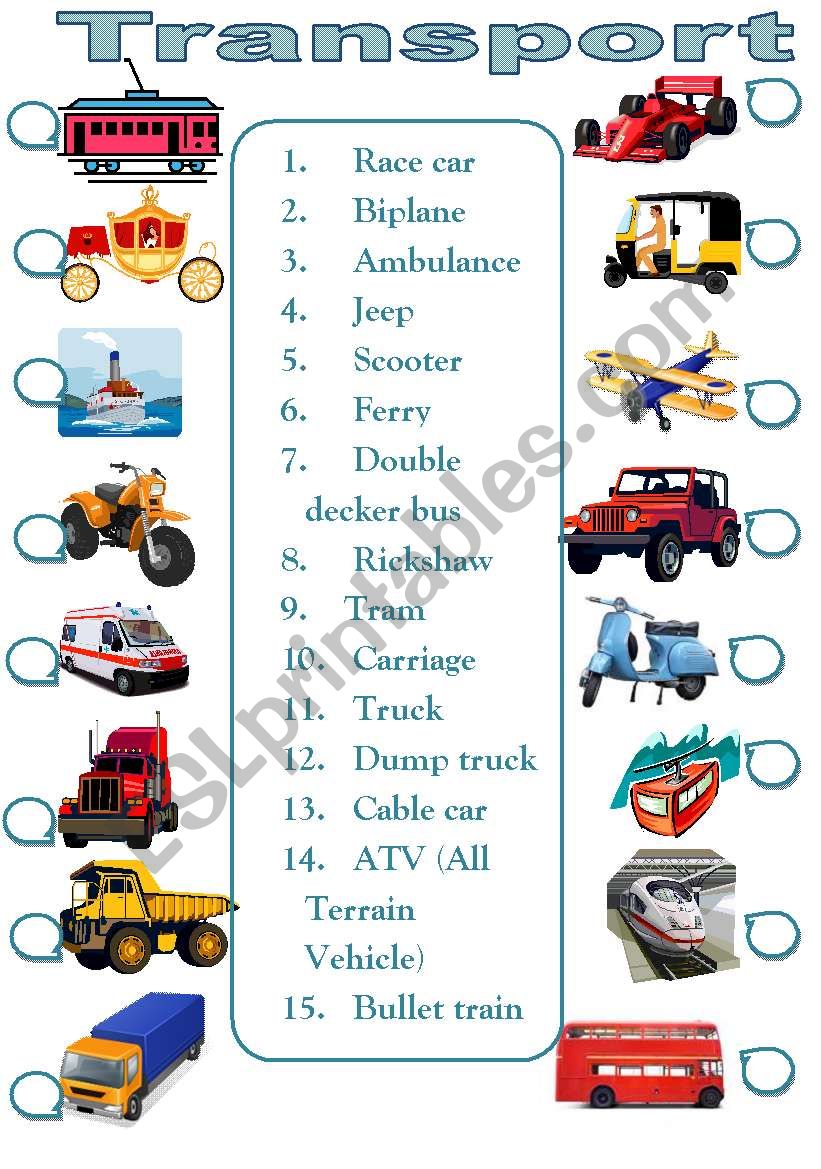 Transport worksheet